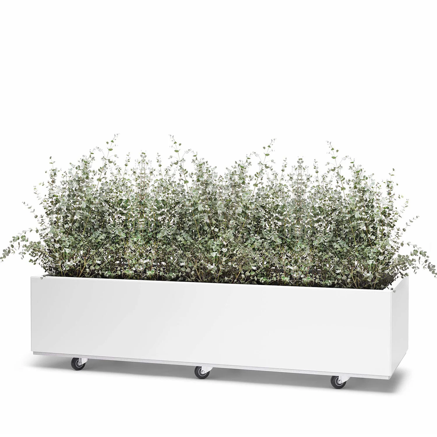 BEDD odlingslåda med hjul/ben - vit, 120x60x25 cm