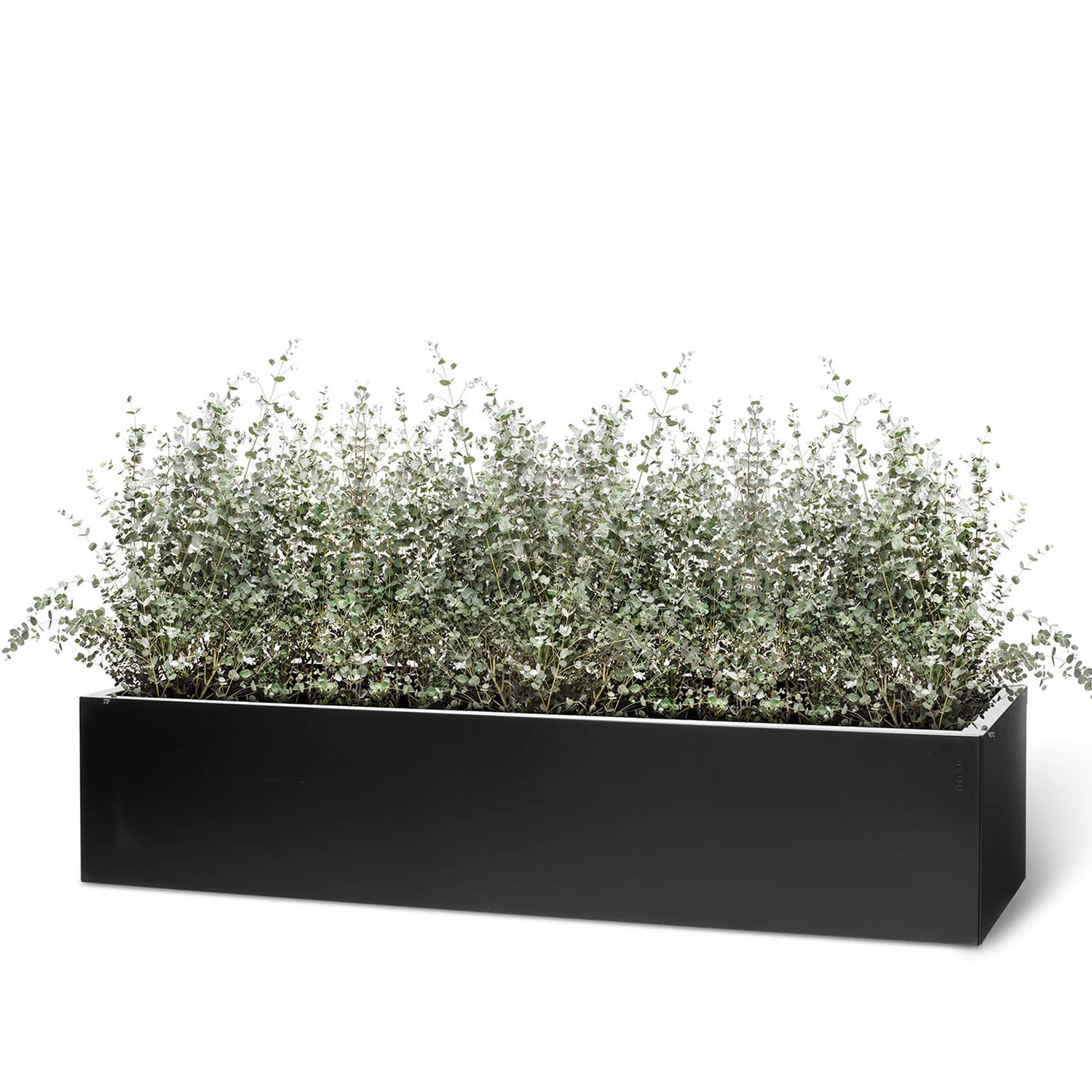 BEDD odlingslåda - svart, 120x60x25 cm