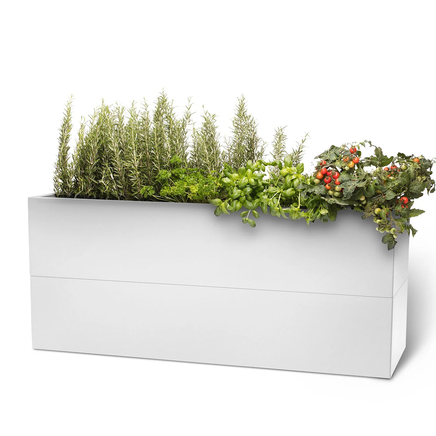 BEDD odlingslåda - vitlack, 120x60x50 cm