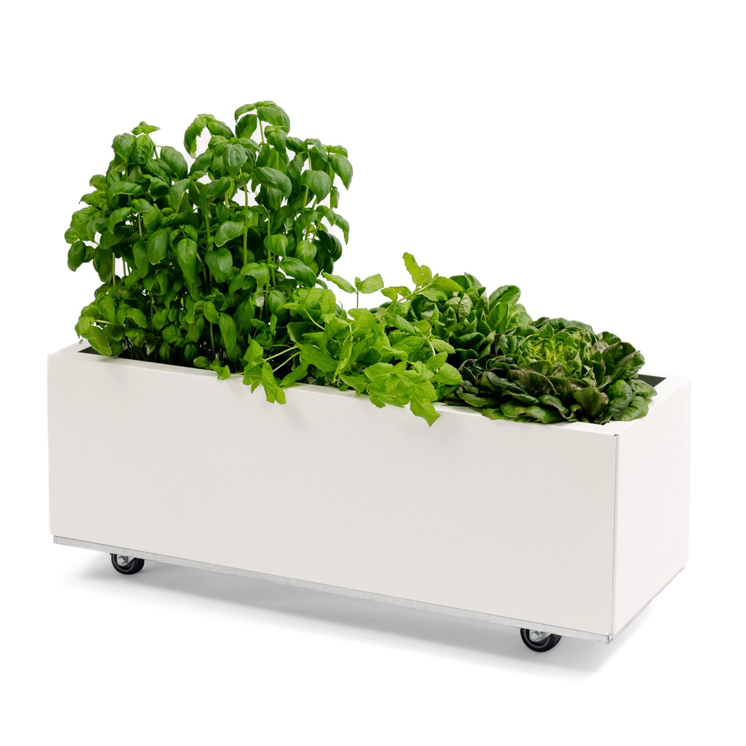 BEDD odlingslåda med ben/hjul - Vit, 80x30xH25 cm