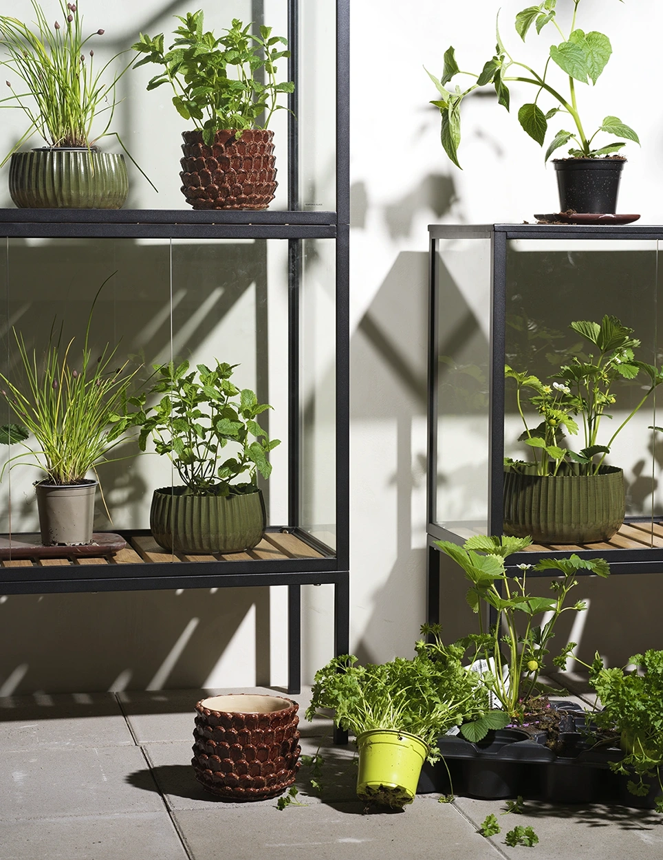 Grower Greens växtskåp svart - H137 cm