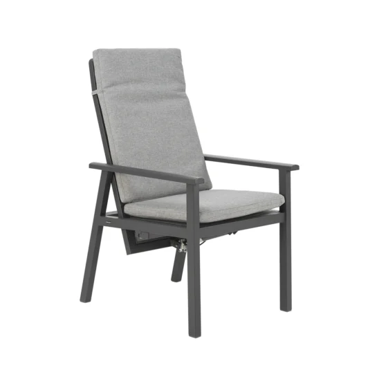 Samvaro positionsstol antracit/pärlgrå