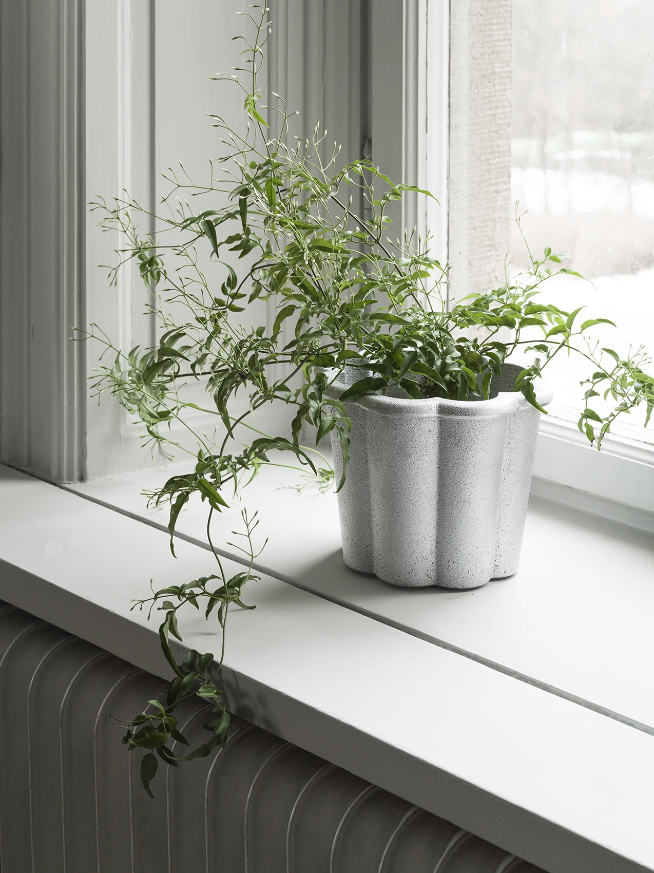Fjällsippa kruka hög, natur aluminium